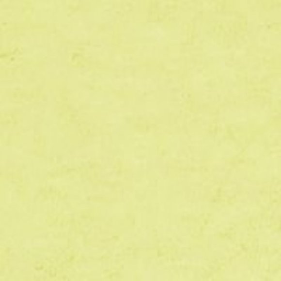 FREE PEOPLE Green Sleeveless Crew Neck Top Size L - Picture 4 of 5